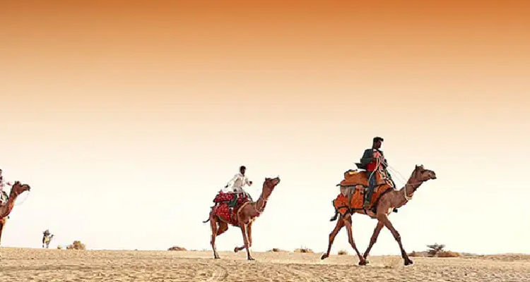 7-Day Trip to Rajasthan