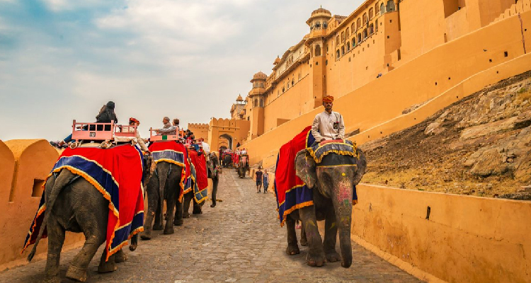 B2B Travel Company in Jaipur