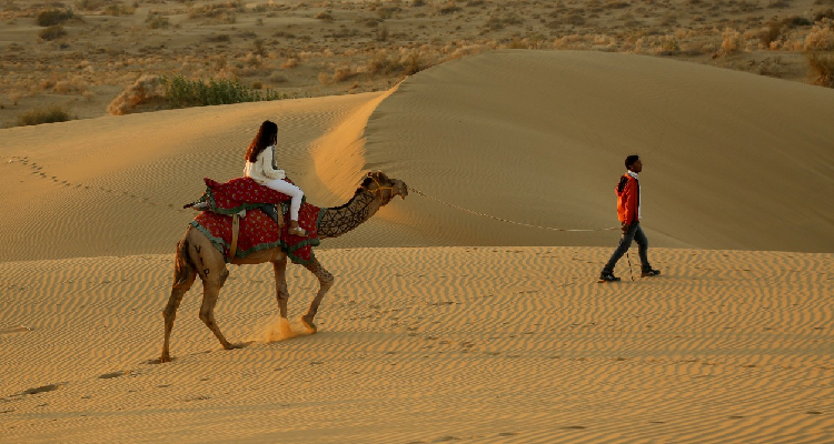 Camel Riding and Desert Camps: Family Adventures in the Thar Desert