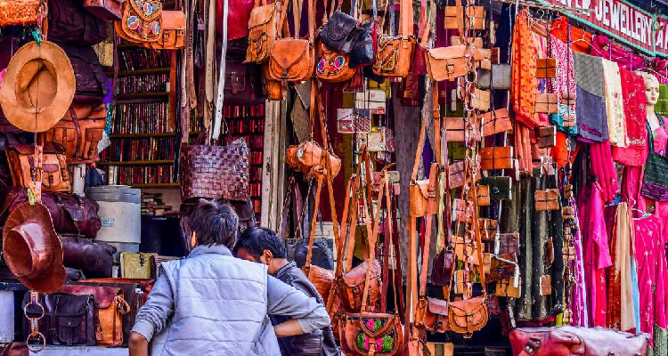 Rajasthan Shopping Guide