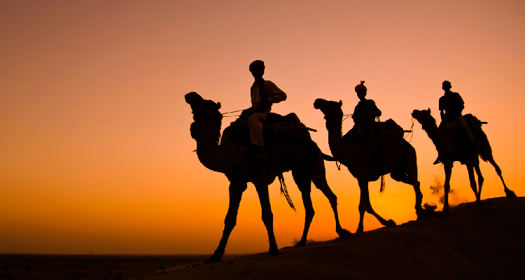 The Ideal Rajasthan Itinerary
