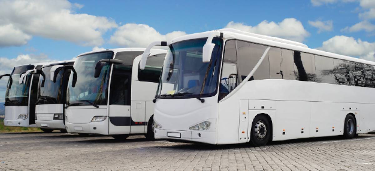 Bus Rental in Jaipur – 30, 35