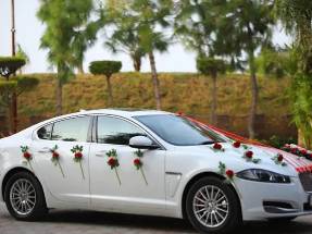 Wedding Car Rental in Ranthambore