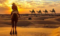 Rajasthan Tour Travels
