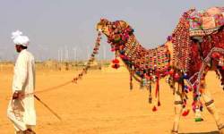 Desert Delights of Rajasthan Tour