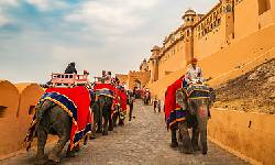 Elephant Ride in Jaipur