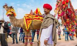 Festivals in Rajasthan
