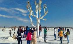 Jaipur Dumping Yard Tour