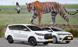 Jaipur to Ranthambore Taxi