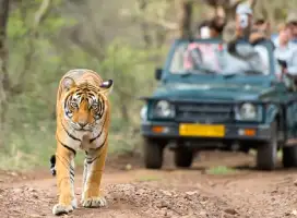 Jaipur to Ranthambore One Way Taxi