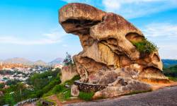 MOUNT ABU SIGHTSEEING TOUR