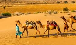 Rajasthan Tour Package 12 Days