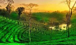 Rajasthan Tour Packages from Assam