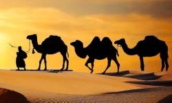 Royal Rajasthan Tour Package