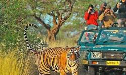 Ranthambore Private Tour Package