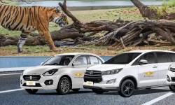 Ranthambore Tour by Car And Driver