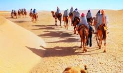 Royal Rajasthan Desert & Heritage Tour 8 Days