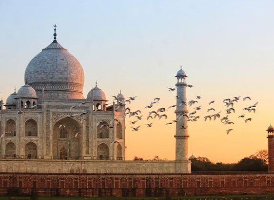 Agra Tour by Car And Driver