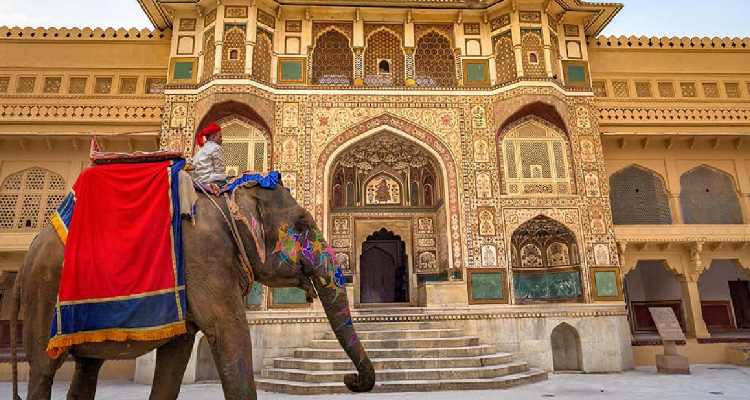 Elephant Ride in Jaipur