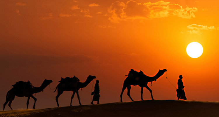 Exotic Rajasthan Tour Package