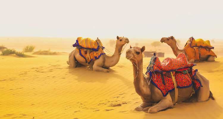 Jaisalmer Tour by Car And Driver