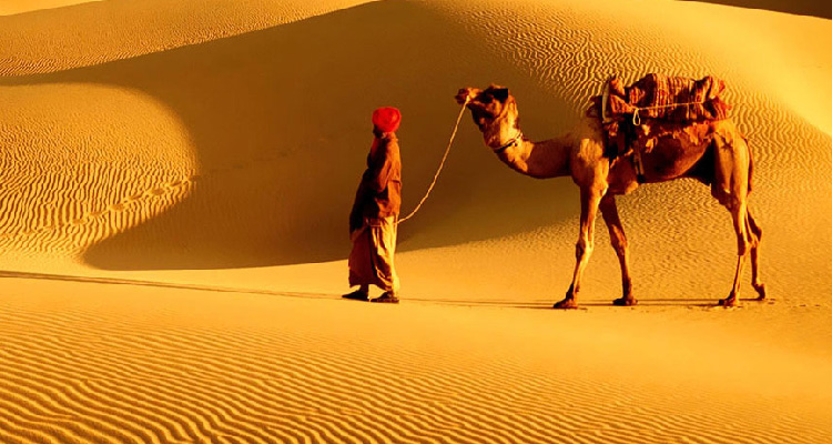 Jodhpur Jaisalmer Tour Package, 4 Days Jodhpur Jaisalmer Package