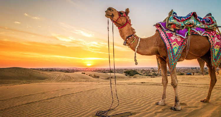 Rajasthan Tour Package